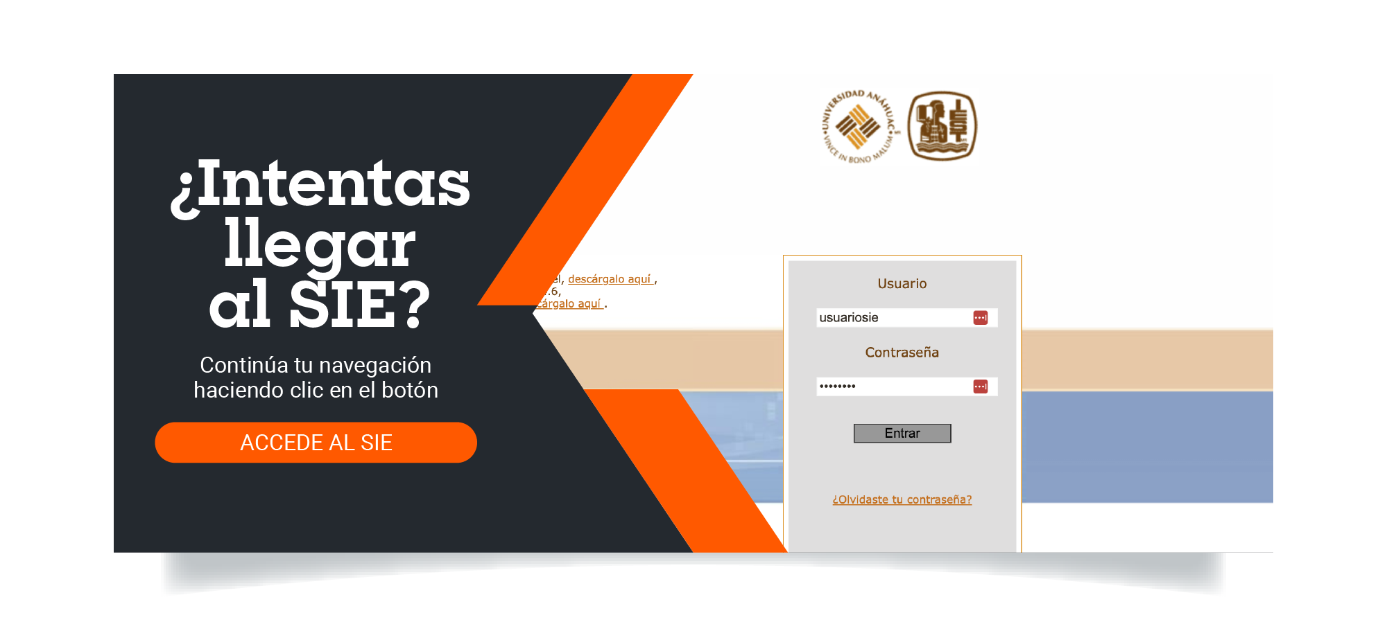 Iniciar sesión IEST Anáhuac